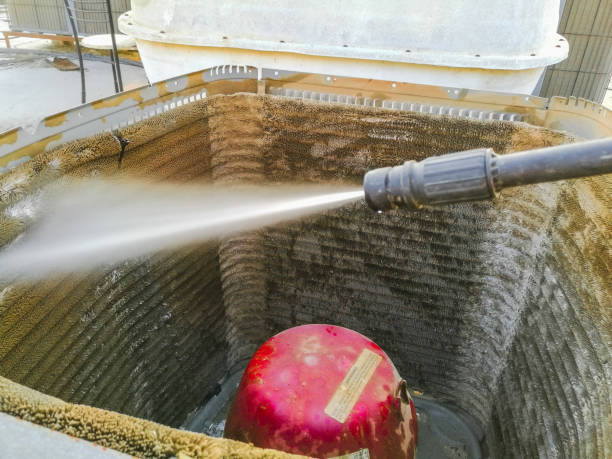 Best Air Duct Mold Removal  in Middleburg, FL