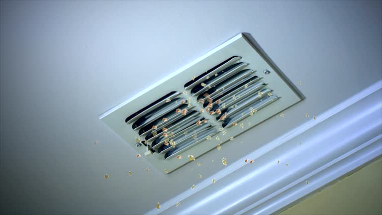 Best Affordable Duct Cleaning Services  in Middleburg, FL