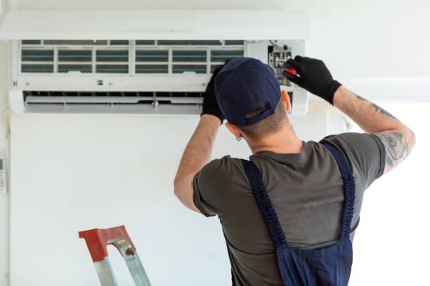Best Air Duct Mold Removal  in Middleburg, FL