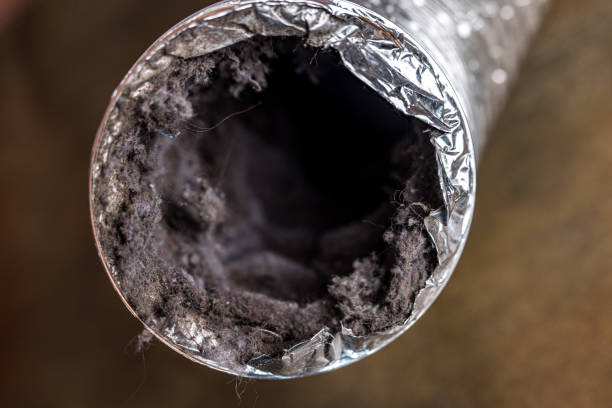 Home Air Vent Cleaning in Middleburg, FL