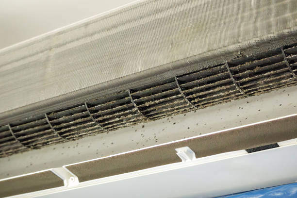 Best HVAC Air Duct Cleaning  in Middleburg, FL